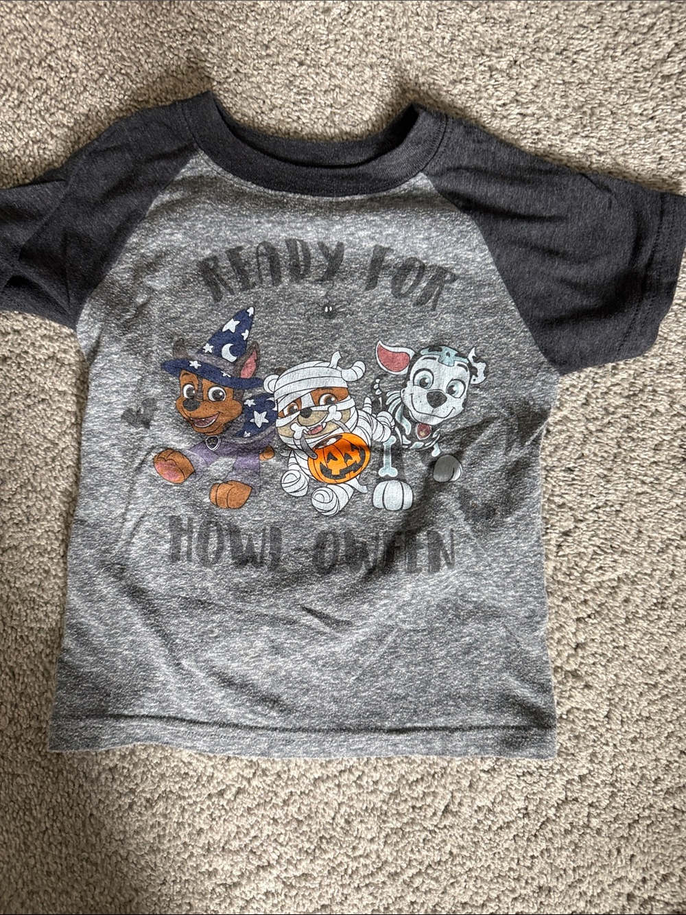 Paw Patrol Halloween Raglan Tee - Gray with Black Sleeves